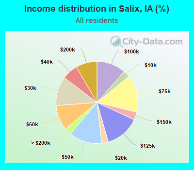 Income distribution in Salix, IA (%)