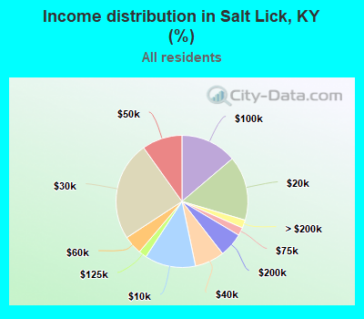 Income distribution in Salt Lick, KY (%)