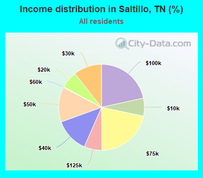 Income distribution in Saltillo, TN (%)