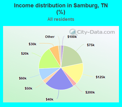 Income distribution in Samburg, TN (%)