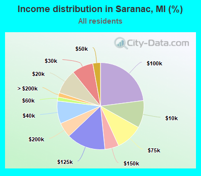 Income distribution in Saranac, MI (%)