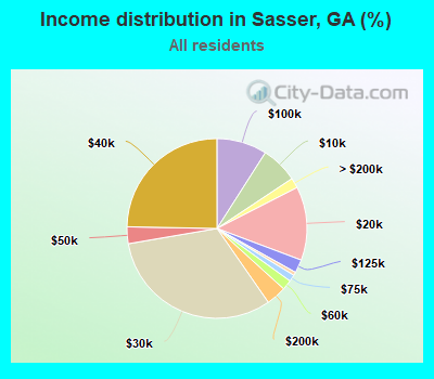 Income distribution in Sasser, GA (%)
