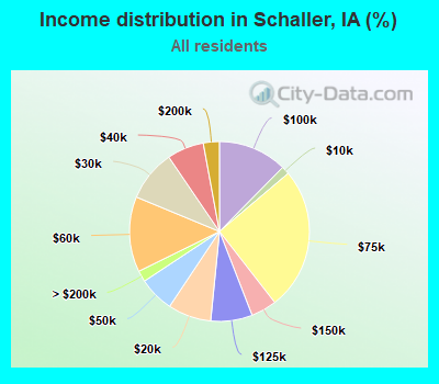 Income distribution in Schaller, IA (%)