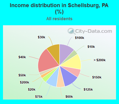 Income distribution in Schellsburg, PA (%)