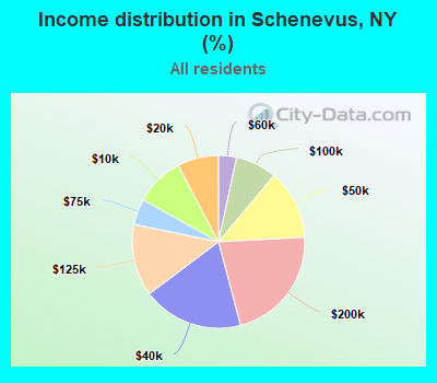 Income distribution in Schenevus, NY (%)