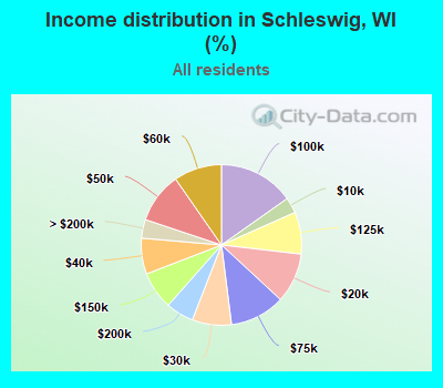 Income distribution in Schleswig, WI (%)