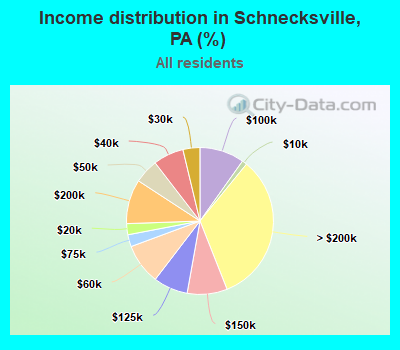 Income distribution in Schnecksville, PA (%)