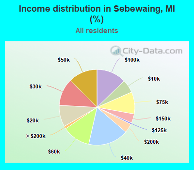 Income distribution in Sebewaing, MI (%)