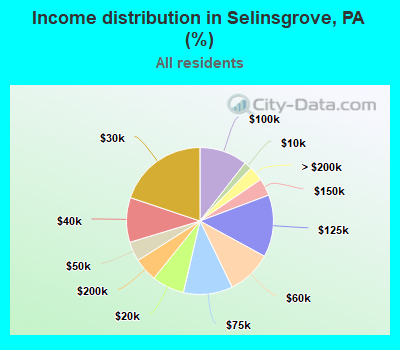 Income distribution in Selinsgrove, PA (%)