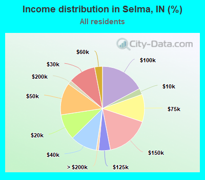Income distribution in Selma, IN (%)