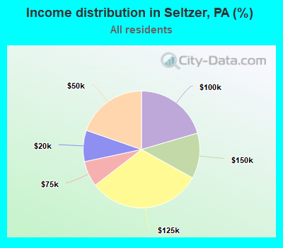 Income distribution in Seltzer, PA (%)