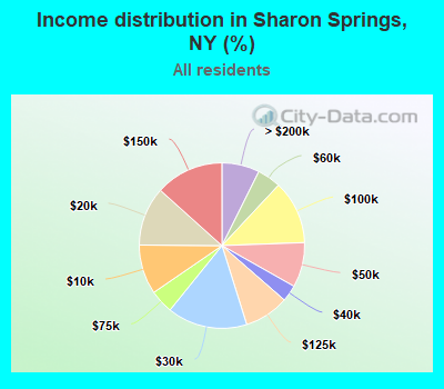 Income distribution in Sharon Springs, NY (%)