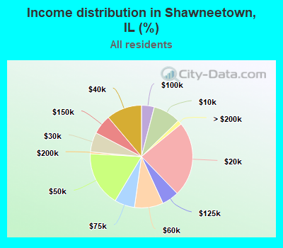Income distribution in Shawneetown, IL (%)