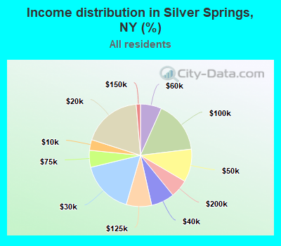 Income distribution in Silver Springs, NY (%)