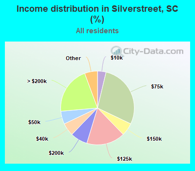 Income distribution in Silverstreet, SC (%)