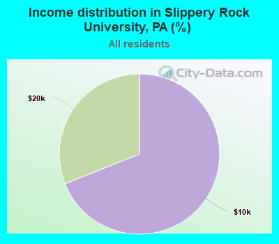Income distribution in Slippery Rock University, PA (%)