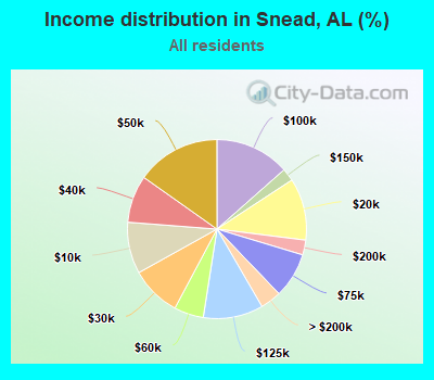 Income distribution in Snead, AL (%)