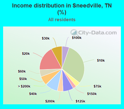 Income distribution in Sneedville, TN (%)