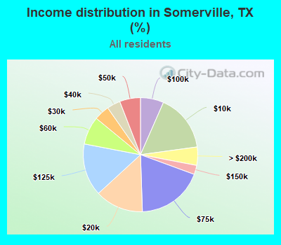 Income distribution in Somerville, TX (%)