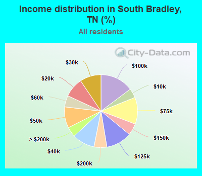 Income distribution in South Bradley, TN (%)