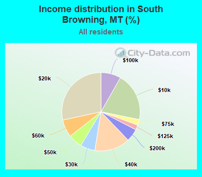Income distribution in South Browning, MT (%)
