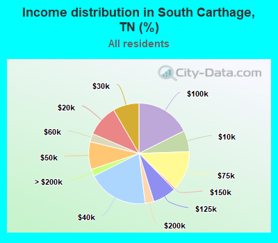 Income distribution in South Carthage, TN (%)