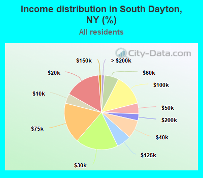 Income distribution in South Dayton, NY (%)