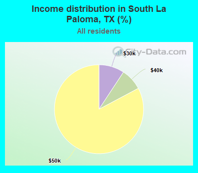 Income distribution in South La Paloma, TX (%)
