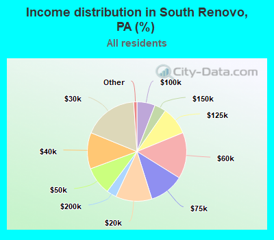 Income distribution in South Renovo, PA (%)