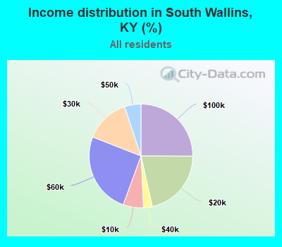 Income distribution in South Wallins, KY (%)