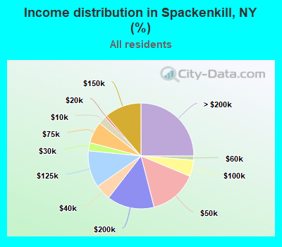 Income distribution in Spackenkill, NY (%)