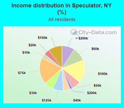 Income distribution in Speculator, NY (%)