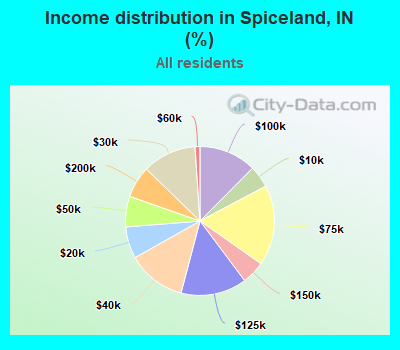 Income distribution in Spiceland, IN (%)