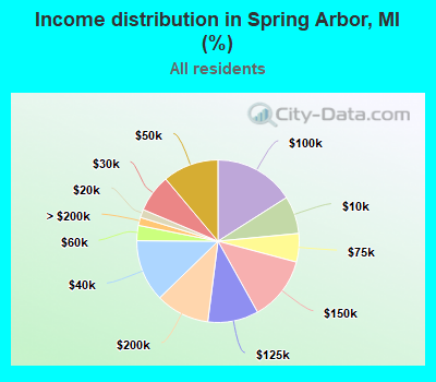 Income distribution in Spring Arbor, MI (%)