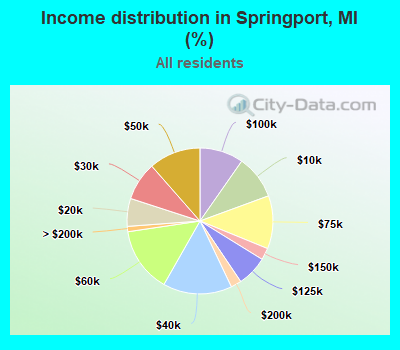 Income distribution in Springport, MI (%)