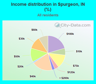 Income distribution in Spurgeon, IN (%)