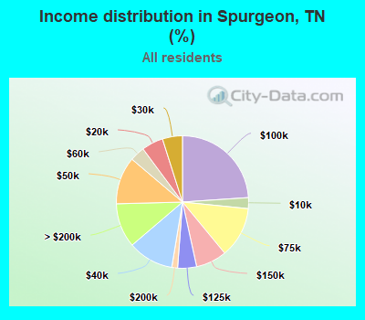 Income distribution in Spurgeon, TN (%)