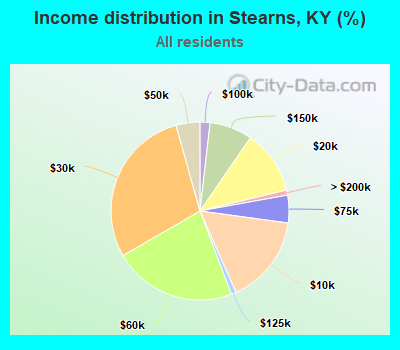 Income distribution in Stearns, KY (%)