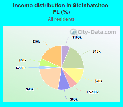 Income distribution in Steinhatchee, FL (%)