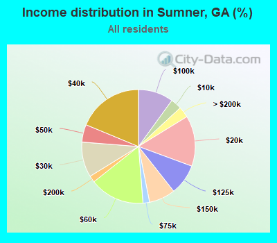 Income distribution in Sumner, GA (%)