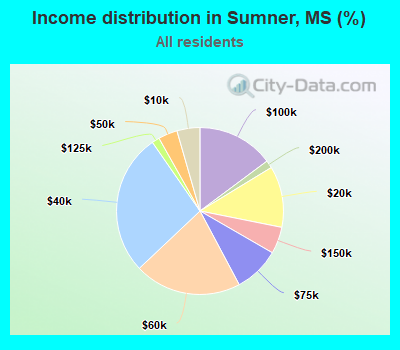 Income distribution in Sumner, MS (%)