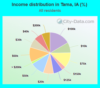 Income distribution in Tama, IA (%)