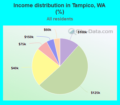 Income distribution in Tampico, WA (%)