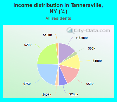 Income distribution in Tannersville, NY (%)
