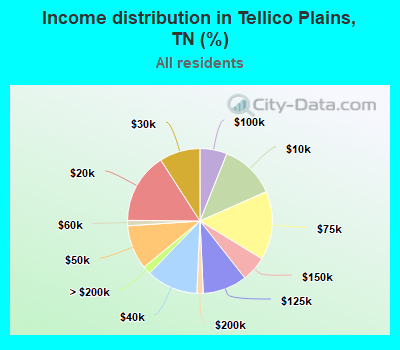 Income distribution in Tellico Plains, TN (%)