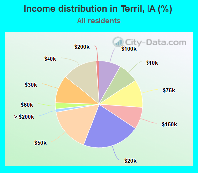 Income distribution in Terril, IA (%)