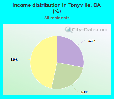 Income distribution in Tonyville, CA (%)