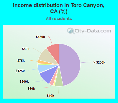 Income distribution in Toro Canyon, CA (%)