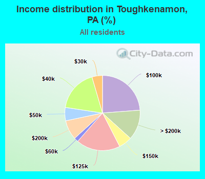 Income distribution in Toughkenamon, PA (%)