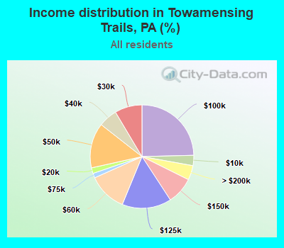 Income distribution in Towamensing Trails, PA (%)